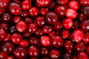 Cranberry puree